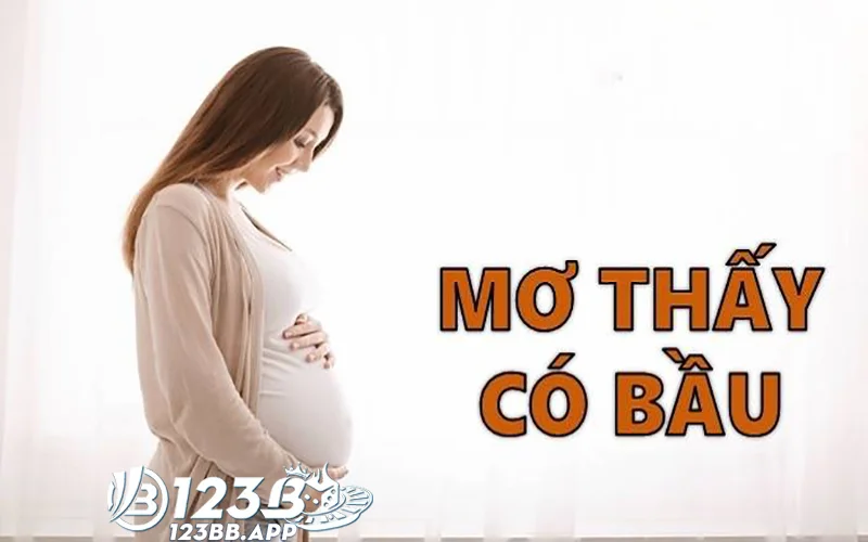 Giải Mã Các Tình Huống Cụ Thể Khi Mơ Thấy Có Bầu