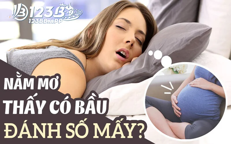 Các Con Số May Mắn Liên Quan Đến Giấc Mơ Thấy Có Bầu