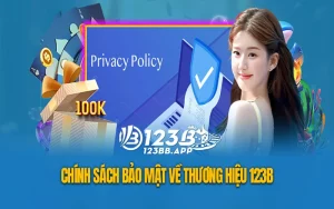 Chính sách bảo mật 123B - Tìm hiểu nội dung chi tiết