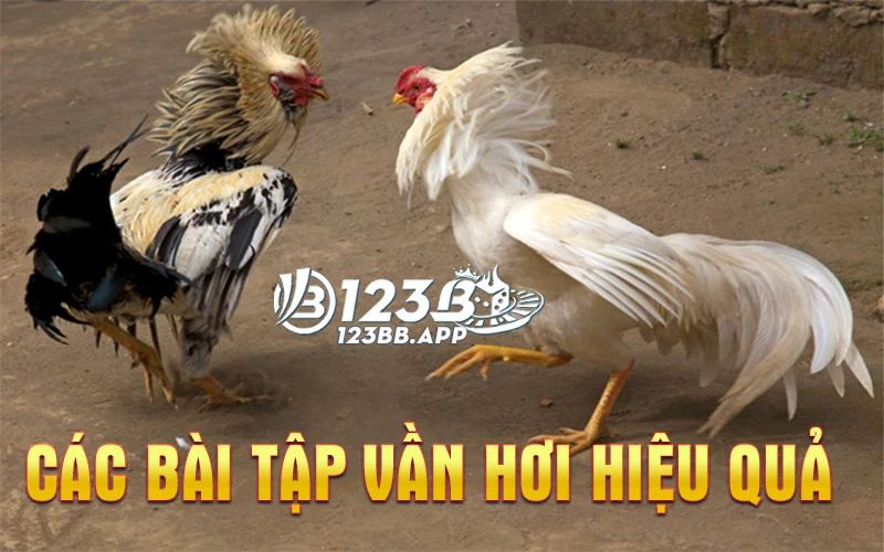 Các bài tập vần hơi hiệu quả